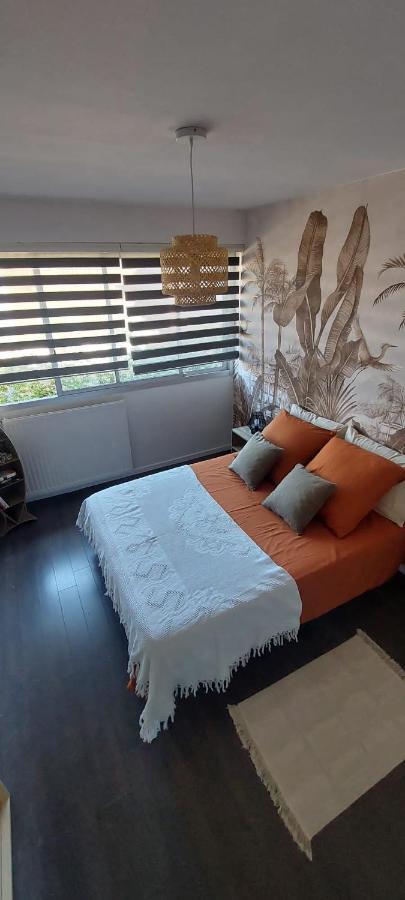 Chez Alexandra Appartement