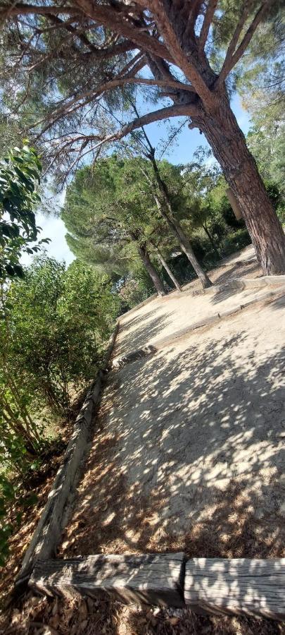 Chez Alexandra * Montpellier